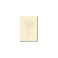 Minikaart | Boeket